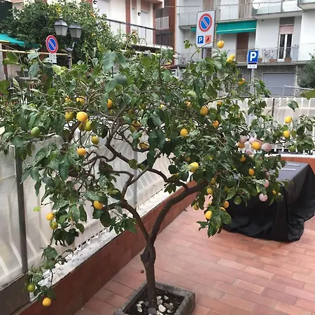 Casa Nonna Angela * אלסיו