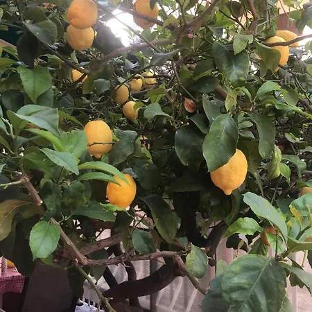 דירה Casa Nonna Angela *